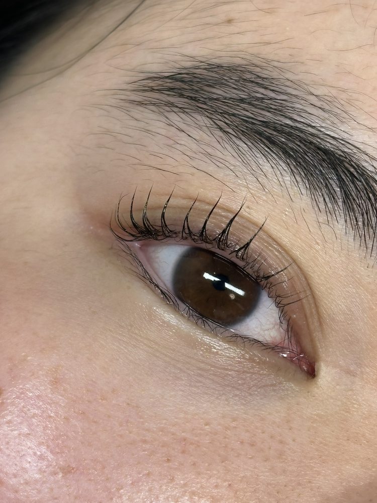 Korean Lash Lift - result 3